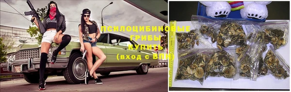 Альфа ПВП Алексин
